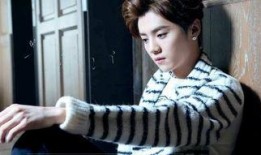 鹿晗爸爸天涯爆料视频大全,揭秘明星家庭背后的故事