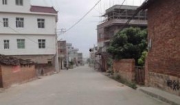 莆田东海镇爆料案件最新,真相渐明，疑云散去